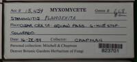 Image Associated With the Occurence